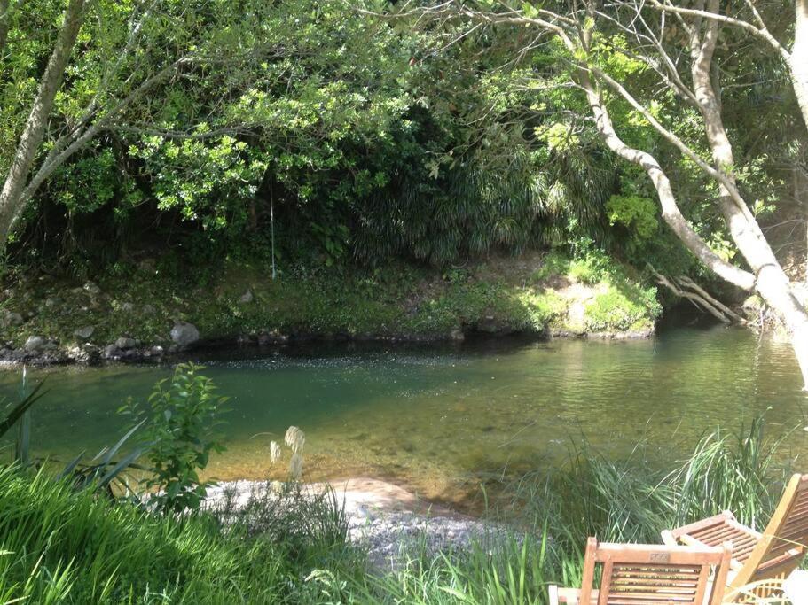 Oakura Pond Cottage - A Unique Kiwi Holiday Bach Exterior foto